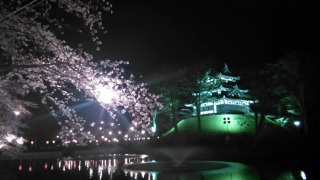 高田城と桜