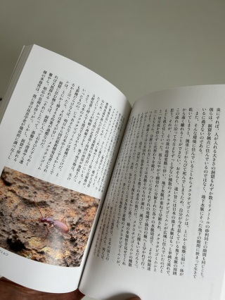 文章にセンスがあり、純粋に読み物としても楽しめます。