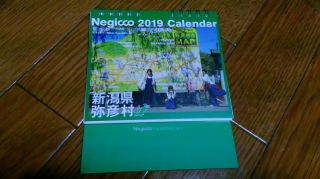 Negiccoカレンダー2019は弥彦で撮影!
